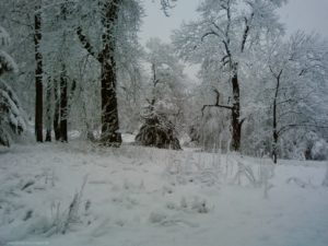 ... und bewarfen ihn mit Schnee – nicht aus Spaß, sondern mit Wucht, dass es schmerzte und er blaue Flecken an den Schienbeinen davon trug.