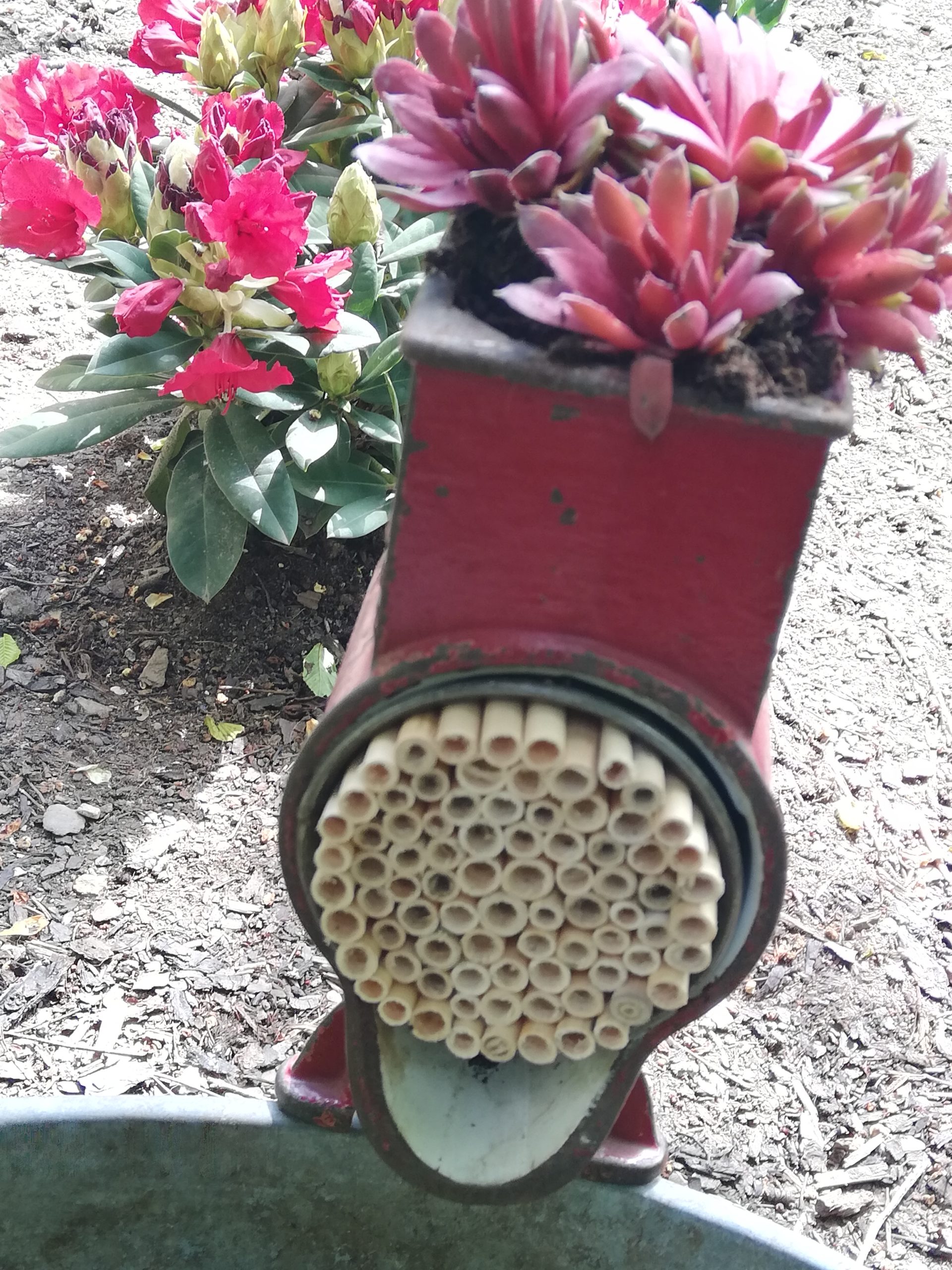 Kreativ im Garten aus alt mach neu Nicole Rensmann